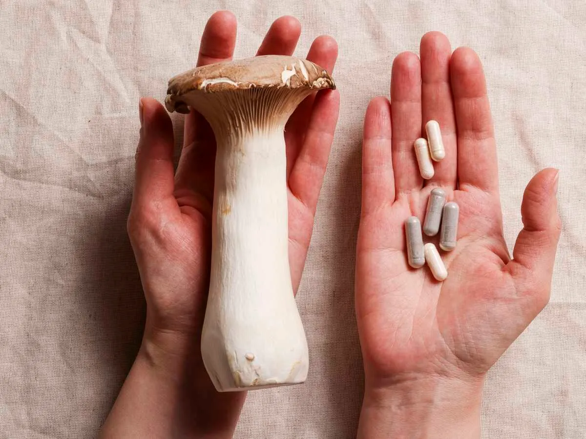 Mycotherapie